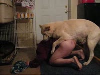 Animal sex video dog banging his owner